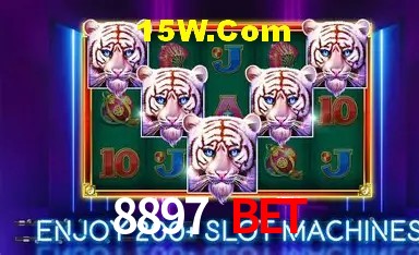 Experiência VIP 8897 Bet